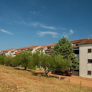 Hostin Garoful Duga Uvala Apartman Pavicini
